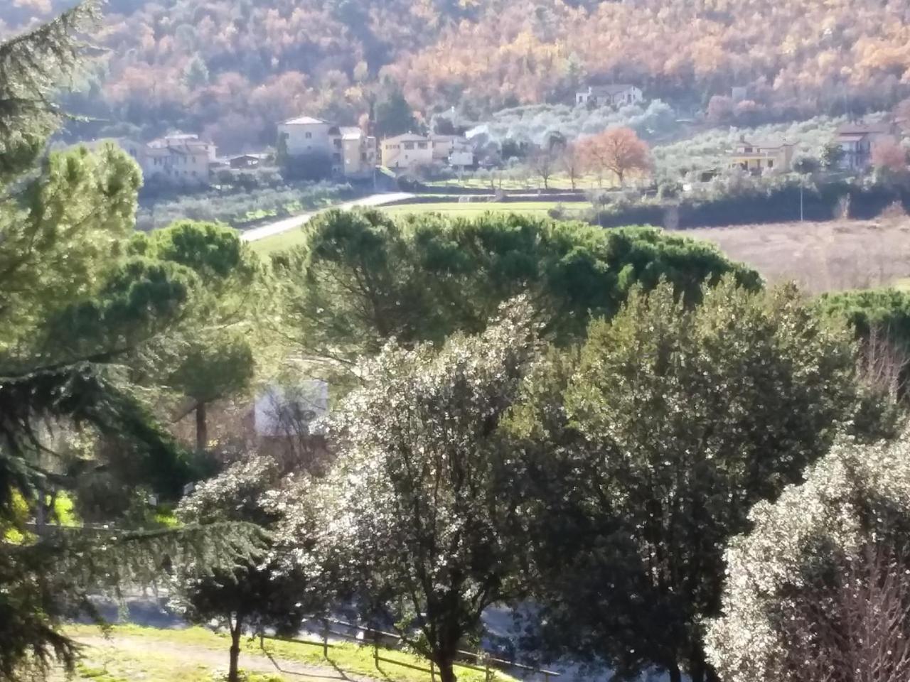Albergo Nyers Περούτζια Εξωτερικό φωτογραφία